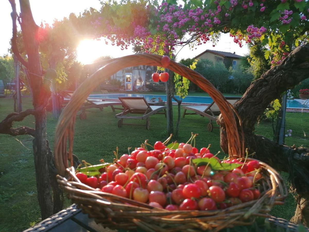 Podere Piandarca Terranuova Bracciolini Exterior photo
